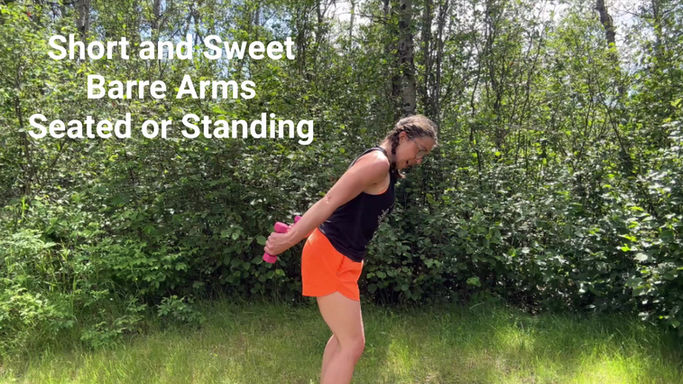 Short and Sweet Barre Arms